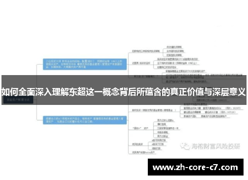 如何全面深入理解东超这一概念背后所蕴含的真正价值与深层意义