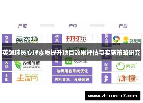 英超球员心理素质提升项目效果评估与实施策略研究