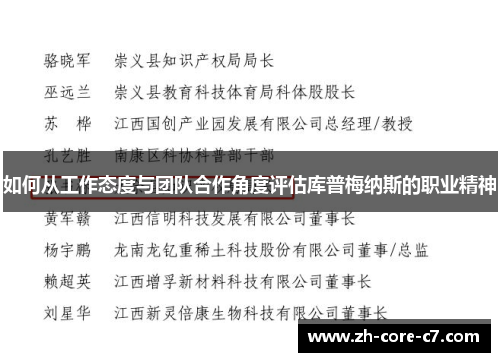如何从工作态度与团队合作角度评估库普梅纳斯的职业精神