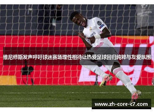 维尼修斯发声呼吁球迷赛场理性相待让热爱足球回归纯粹与友爱氛围