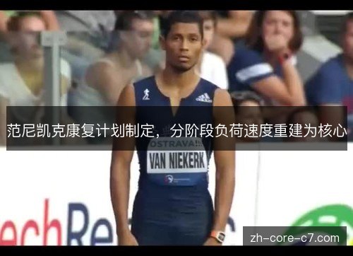 范尼凯克康复计划制定,分阶段负荷速度重建为核心 范尼凯克康复计划制定,分阶段负荷速度重建为核心
